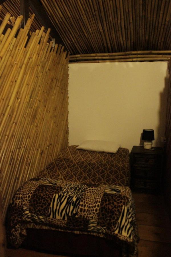 Hostal Casa Buho Antigua Bagian luar foto