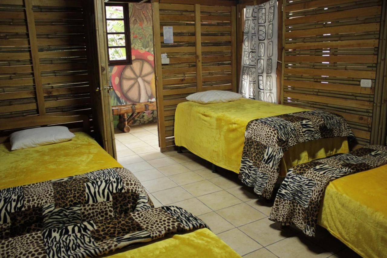 Hostal Casa Buho Antigua Bagian luar foto