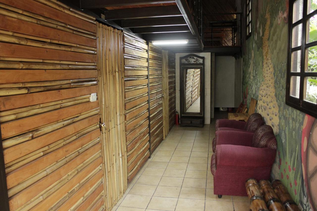 Hostal Casa Buho Antigua Bagian luar foto